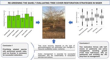 Re-greening the Sahel? Evaluating tree cover restoration strategies in Niger