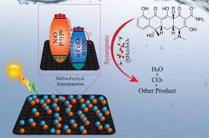 Peroxydisulfate-enhanced photocatalytic degradation of Tetracycline using NiO/α-Fe2O3-C derived from hierarchical NiFe Prussian blue analogue via seed-mediated growth