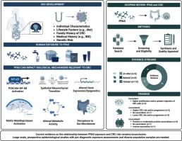 A scoping review on per- and poly-fluoroalkyl substances (PFAS) and colorectal cancer: Evidence from in vitro, animal, and epidemiological studies