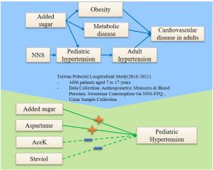 Varied effects of sweeteners on pediatric hypertension: A multicenter study