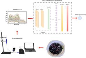 Prediction of sugar content in Java Plum using SW-NIR spectroscopy with CNN-LSTM based hybrid deep learning model