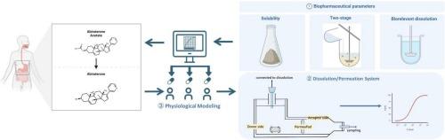 Establishing clinically relevant dissolution specifications for prodrug bioequivalence risk assessment: Integration of a dissolution/permeation system with physiologically based biopharmaceutics modeling in abiraterone acetate