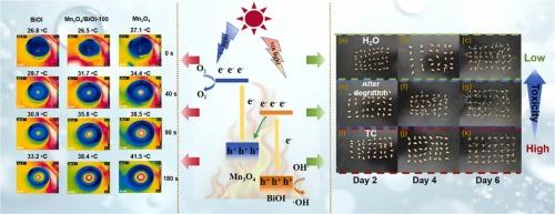 Synergistic effect of photothermal-assisted photocatalysis and S-scheme heterojunction in Mn3O4/BiOI towards efficient pollutants degradation