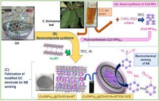 Biosynthesised reduced graphene oxide/CuO based nanocomposite using ‘Cordia dichotoma’ leaf extract for ‘nitrobenzene’ determination