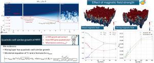Self-similarity and growth of non-linear magnetic Rayleigh–Taylor instability — Role of the magnetic field strength