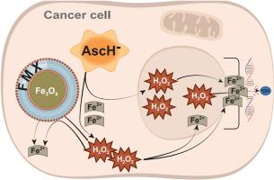 Iron-oxide nanoparticles selectively enhance the toxicity of pharmacological ascorbate through hydrogen peroxide-dependent DNA damage in non-small cell lung cancer (NSCLC)