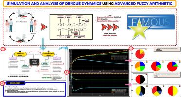 Simulation and analysis of dengue transmission dynamics using advanced fuzzy arithmetic