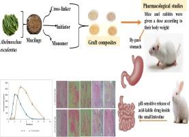 pH-Sensitive acrylic acid grafted Abelmoschus esculentus composite for sustained release of pantoprazole sodium