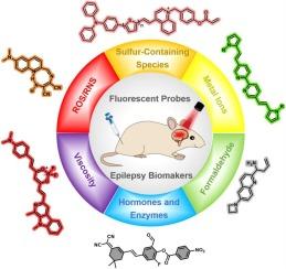 Advances in small-molecule fluorescent probes for imaging epilepsy biomarkers: A review