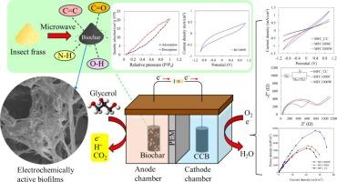 Microwave-converted insect frass biochar as a high-performance anode for crude glycerol-powered microbial fuel cells