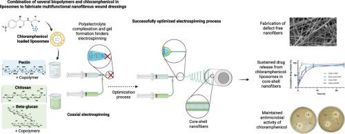 Antimicrobial core-shell nanofiber wound dressing with chloramphenicol-liposomes