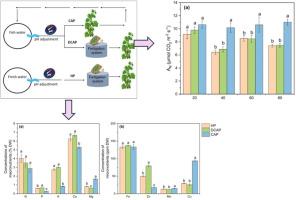 Capturing the physiological and growth dynamics of cucumber cultivated in coupled and decoupled aquaponic systems