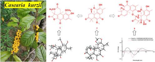 Caseazins R−Y, cytotoxic podocarpane diterpenoids from Casearia kurzii