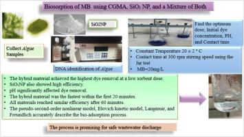 Biosorption of methylene blue from industrial wastewater using silicon dioxide nanoparticles and Cladophora glomerata