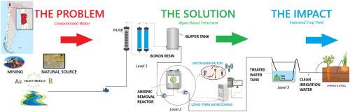 Improving irrigation water quality using a pilot algal treatment system: A case study from northern Chile