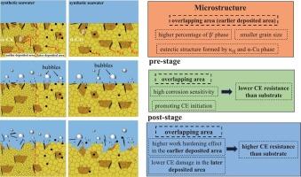Microstructure and cavitation erosion behavior in overlapping vs. substrate areas of WAAM NAB