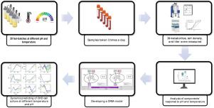 A novel dynamic flux balance analysis for modeling CHO cell fed-batch cultures with pH and temperature shifts