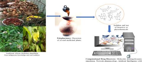 Historical and ethnopharmacological perspectives on African medicinal plants: From traditional remedies to computational drug discovery