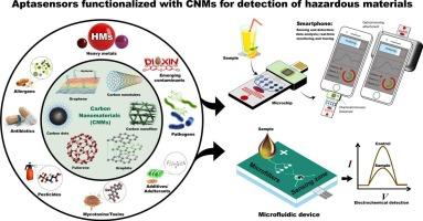 Advances in aptasensors engineered with carbon nanomaterials for food safety monitoring
