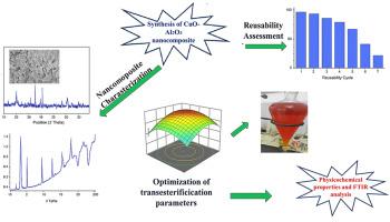 Valorization of Carica papaya seed oil into biodiesel using a stable CuO–Al2O3 nanocatalyst under optimized condition