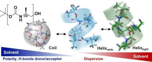Solvent effect on secondary structures of discrete, isotactic, oligourethane motif – towards engineering protein-like features in abiotic polymers