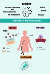 Overview of dendrimers as promising drug delivery systems with insight into anticancer and anti-microbial applications