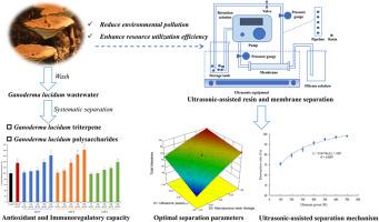 Ultrasonic-assisted macroporous resin and membrane processes for the systematic separation of Ganoderma lucidum wastewater