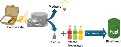 Ethanol production from non-sterile methane fermentation residues for waste-to-biofuel conversion