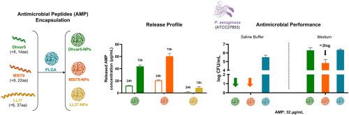 Antimicrobial peptides-loaded PLGA nanoparticles: Unravelling distinct release profiles and effect against Pseudomonas aeruginosa
