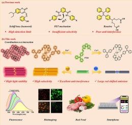 J-aggregate fluorescence probe constructed based on AIE units for analysis of Zn2+, Cu2+ ions in food and biological systems