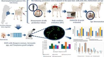 Neospora caninum, Sarcocystis spp. and Toxoplasma gondii infections and their relationship with milk production in goats from Argentina