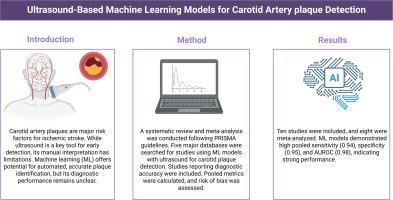 Machine learning models for carotid artery plaque detection: A systematic review of ultrasound-based diagnostic performance