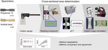 Accuracy of cross-sectional area determining methods for tensile testing of iliotibial band