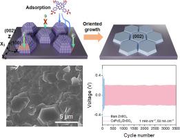 Kinetic regulation of Zn(002) textured interfaces for highly reversible Zn–iodine batteries
