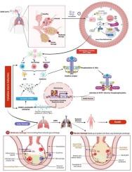 Delving deeper in the eye of the hurricane: Immunopathogenesis & molecular characterization of cytokine storm in COVID-19, association with disease severity & the therapeutic regimens