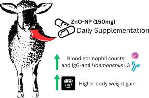 Effects of zinc oxide nanoparticle supplementation in young sheep naturally infected with gastrointestinal nematodes