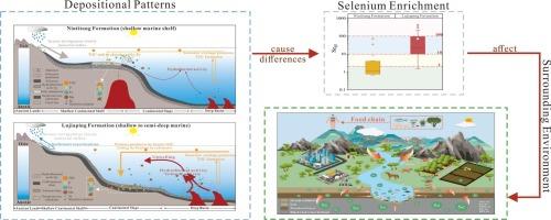 The lower Cambrian selenium-enriched black rock series in Southwest China: Occurrence modes and surface environmental implications