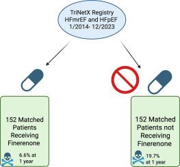 Finerenone and cardiovascular outcomes in heart failure with mildly reduced and preserved ejection fraction: A propensity-matched analysis