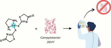 A new palladium(II) complex containing ethylenediamine and 2-thioxo-4-thiazolidinone exhibits high activity against resistant Campylobacter jejuni strains