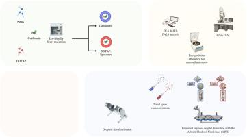 Liposomal sprays for nasal vaccination: a comparative study of cationic and anionic formulations involving stability upon nebulization, sprayability, and in vitro immune activation