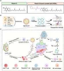 A dual-functional in situ hydrogel for delivering vitamin E–based lipid nanoparticles to enhance cancer immunotherapy