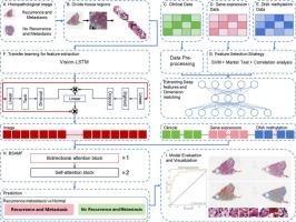 PCGMMF: a prediction method for breast cancer prognostic recurrence and metastasis risk based on enhanced multimodal feature fusion