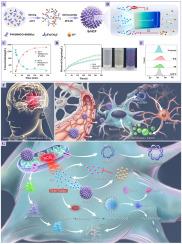 Biomimetic dynamic nanomedicine SrHCF: Lattice self-reconstruction based on Fe2+ response to achieve synergistic “ferrous chelation-antioxidation-calcium antagonism-inflammation inhibition” quadruple treatment of CIRI