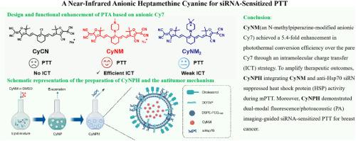 A near-infrared anionic heptamethine cyanine for siRNA-sensitized photothermal therapy