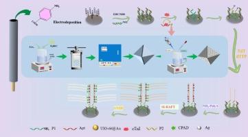 Ratiometric electrochemical sensor based on metal-organic framework and nanosilver as response signals for cTnI detection