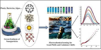 Green-synthesized nanoparticle-enhanced electrochemical sensors for Pb and Cd ions detection