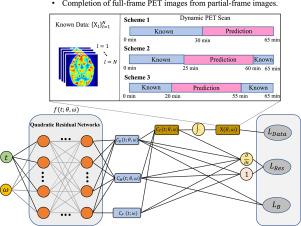 Reinforced physiology-informed learning for image completion from partial-frame dynamic PET imaging