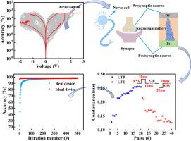 Regulating oxygen vacancies to achieve stable non-volatile switching characteristics and neuromorphic computing in a-Ga2O3 based memristors