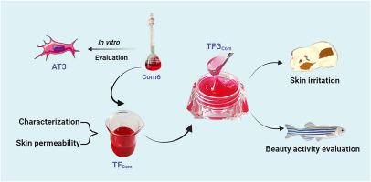 Preparation of transfersome gel loaded with a composition formed by 6 kinds of active ingredients (TFCom) and evaluation of its multi-dimensional synergistic beauty efficacy based on zebrafish