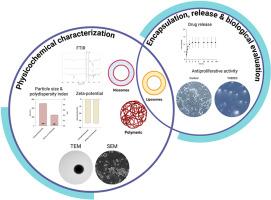 Nanoparticle platforms for encapsulation of therapeutic deep eutectic systems to target colorectal cancer cells